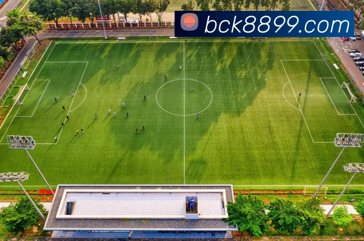 BCK体育官网平台生态图